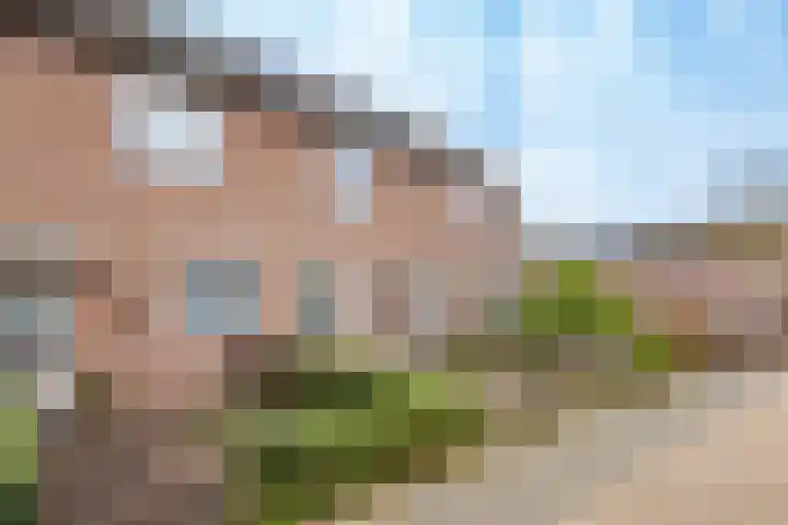 Samoas 20 Utrecht thumbnail 44