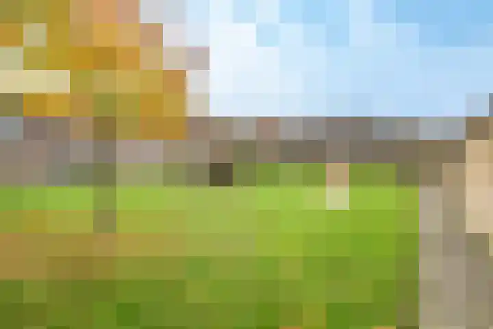 Samoas 20 Utrecht thumbnail 45