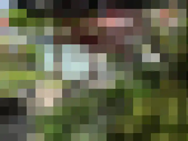 Samoen 13 Zeewolde thumbnail 57
