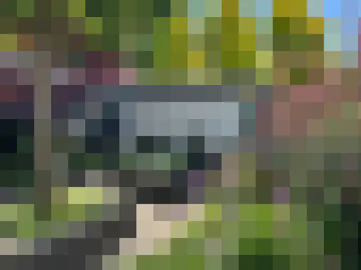 Samoen 13 Zeewolde thumbnail 62