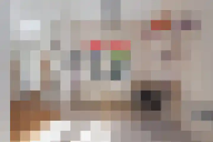 Samuel de Langestraat 43 Eindhoven thumbnail 10