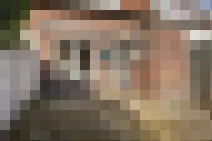 Samuel de Langestraat 43 Eindhoven thumbnail 30