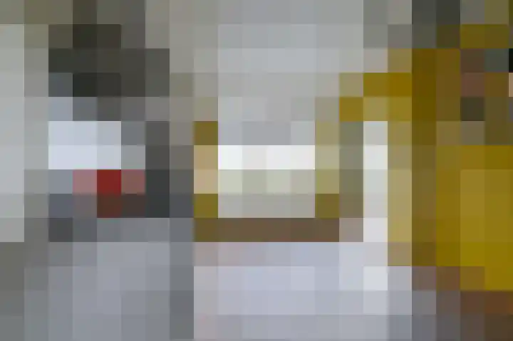 Samuelswijk 5 Elim thumbnail 16