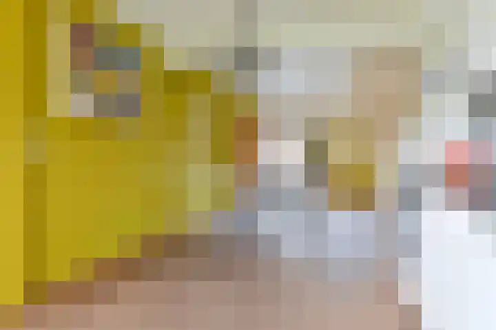 Samuelswijk 5 Elim thumbnail 17