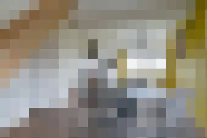 Samuelswijk 5 Elim thumbnail 18