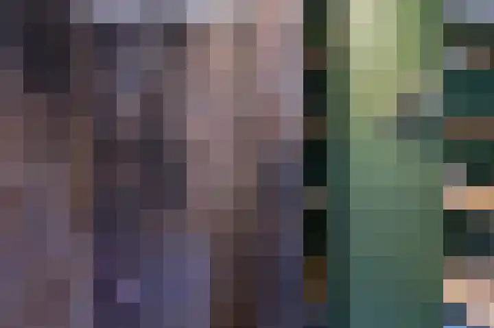 Samuelswijk 5 Elim thumbnail 28