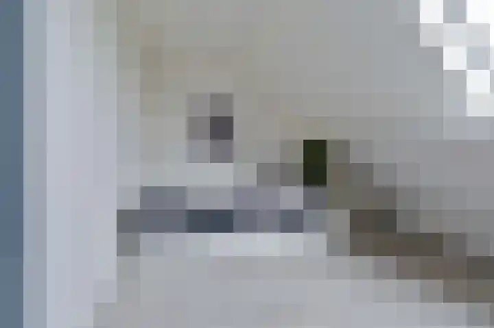 Samuelswijk 5 Elim thumbnail 35