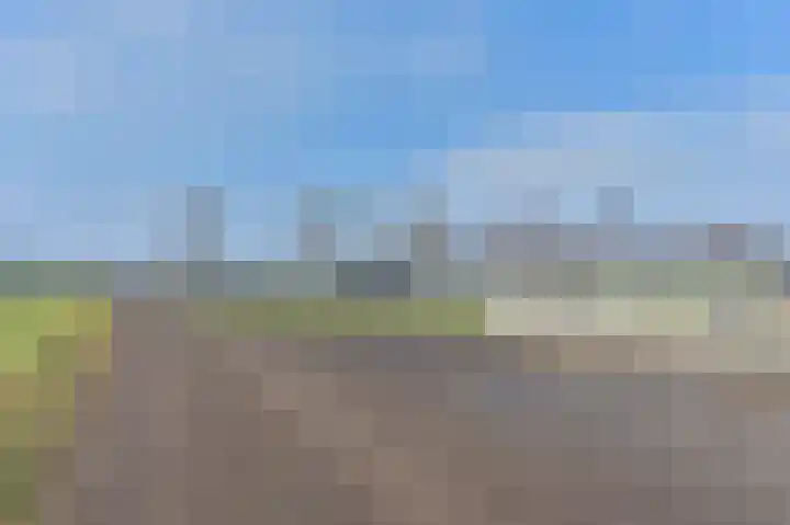 Samuelswijk 5 Elim thumbnail 48