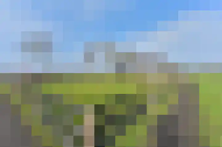 Samuelswijk 5 Elim thumbnail 49