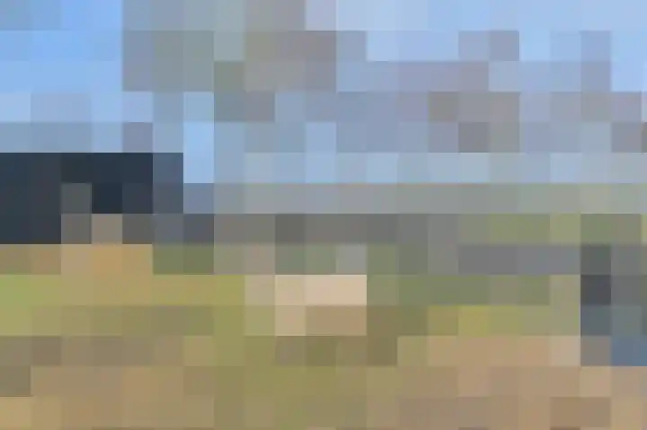 Samuelswijk 5 Elim thumbnail 51