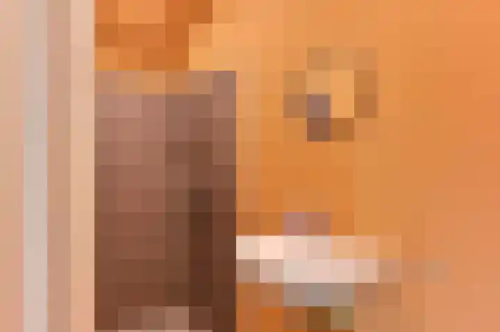 Samuelswijk 5 Elim thumbnail 67