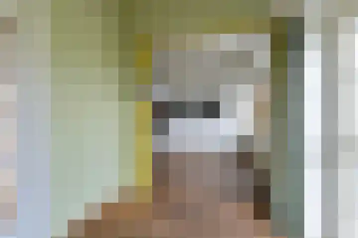 Samuelswijk 5 Elim thumbnail 7