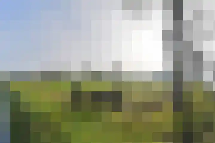 Samuelswijk 5 Elim thumbnail 75