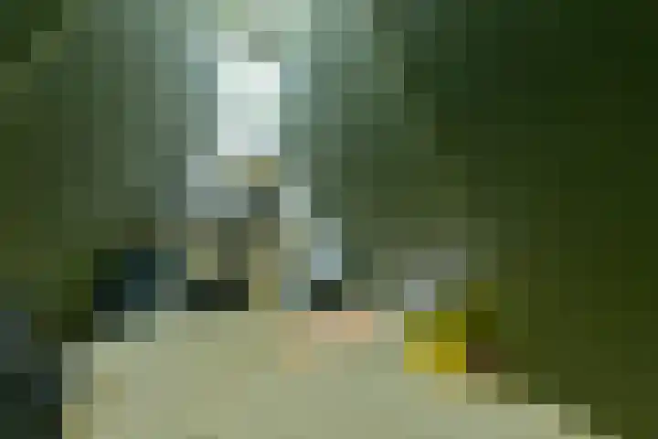 San Marco 53 Hoofddorp thumbnail 39