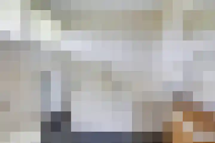 Sânbank 11 Workum thumbnail 12