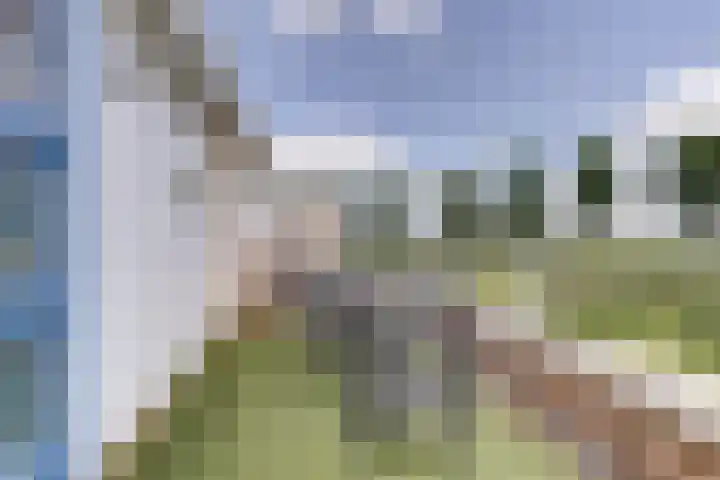 Sânbank 11 Workum thumbnail 29