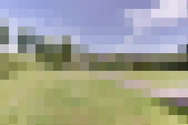 Sânbank 11 Workum thumbnail 4