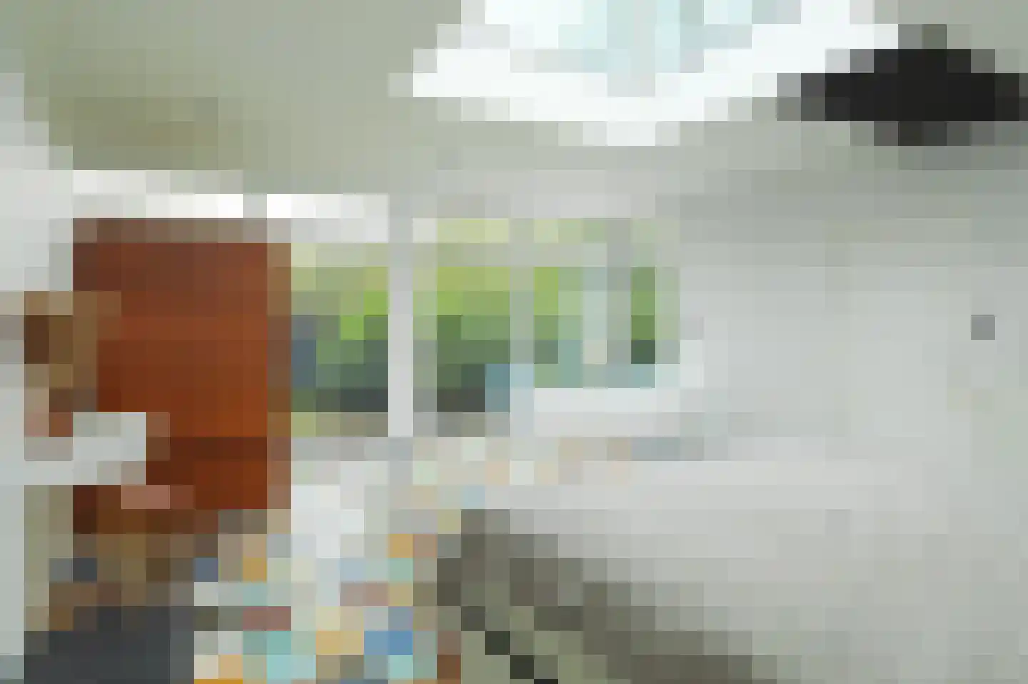 Sandelingeweg 10 Ridderkerk thumbnail 19