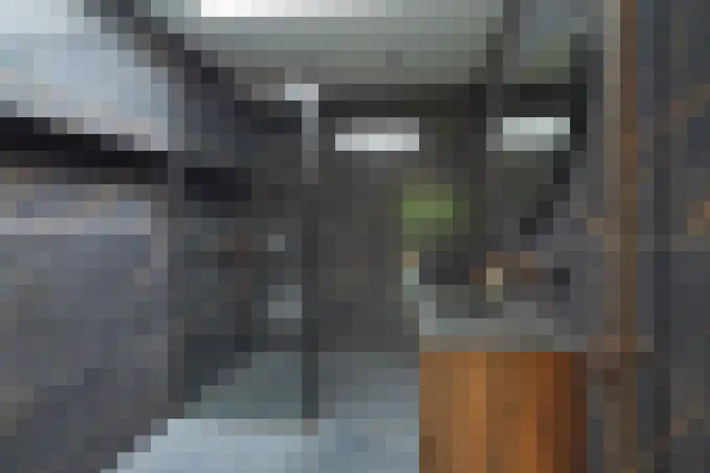 Sandelingeweg 10 Ridderkerk thumbnail 26