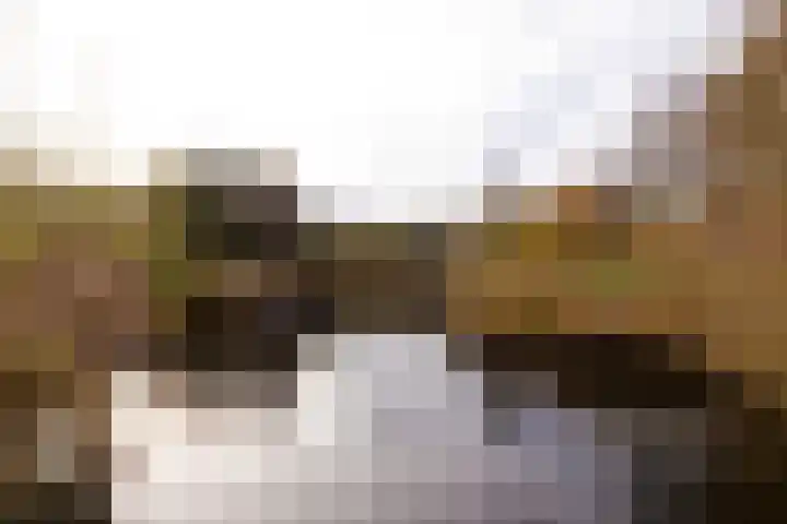 Sandenburg 215 Haarlem thumbnail 20