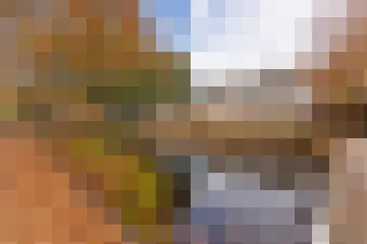 Sandenburg 215 Haarlem thumbnail 22