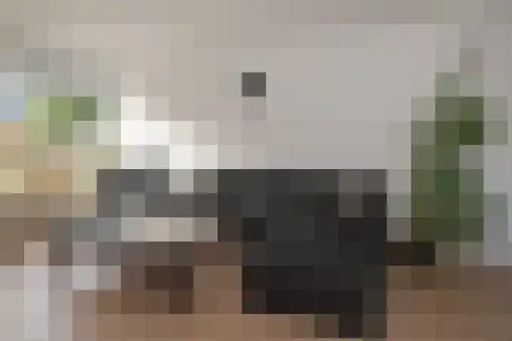 Sandenburg 3 Almelo thumbnail 7