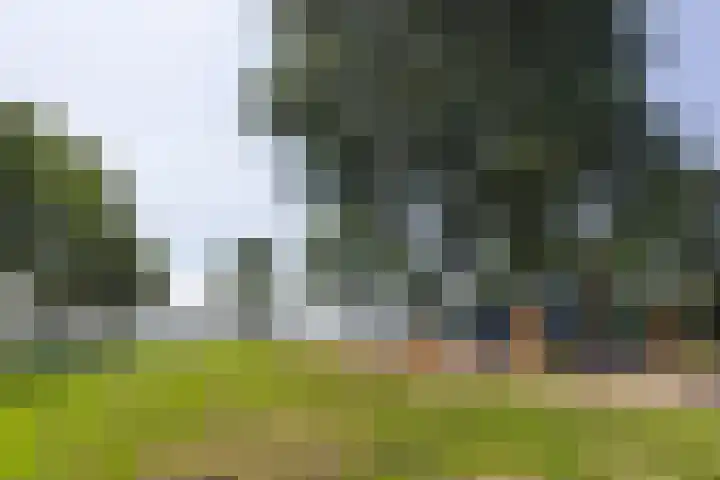 Sandenburg 449 Haarlem thumbnail 32