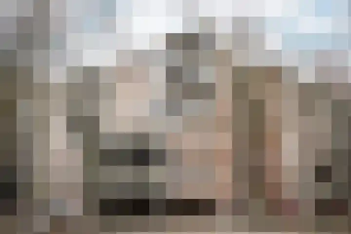 Sandenburg 513 Haarlem foto 2