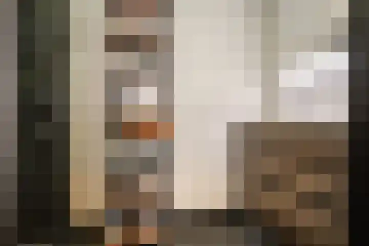 Sandenburg 513 Haarlem thumbnail 26