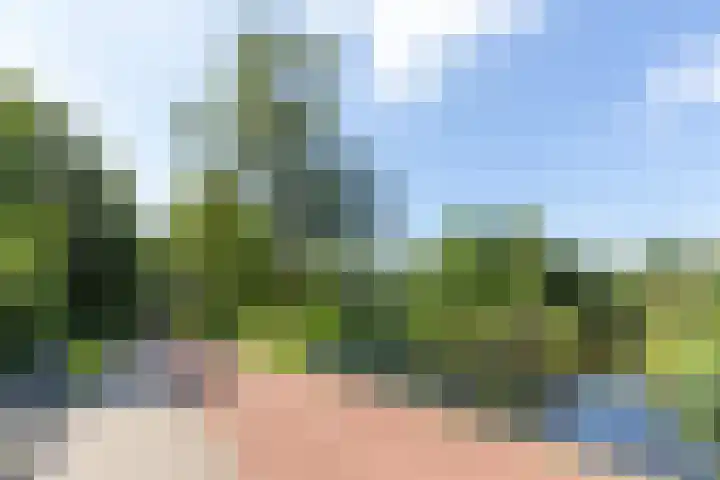 Sandenburg 541 Haarlem thumbnail 17