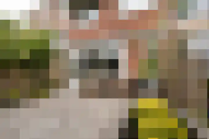 Sandenburg 62 Haarlem thumbnail 18
