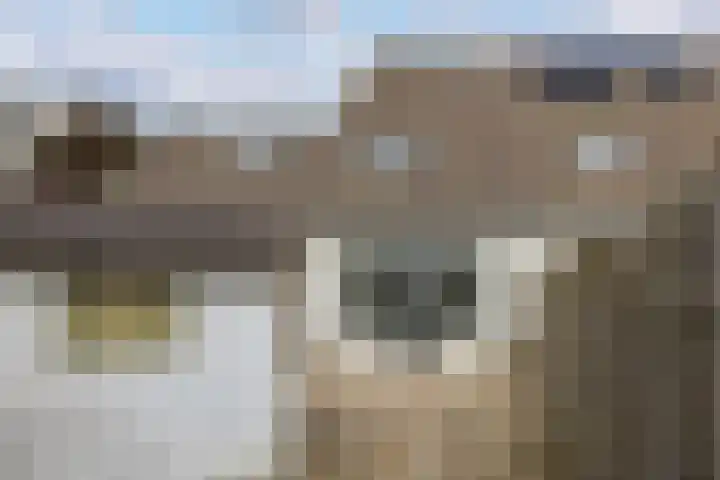 Sandenburg 9 Leusden thumbnail 16