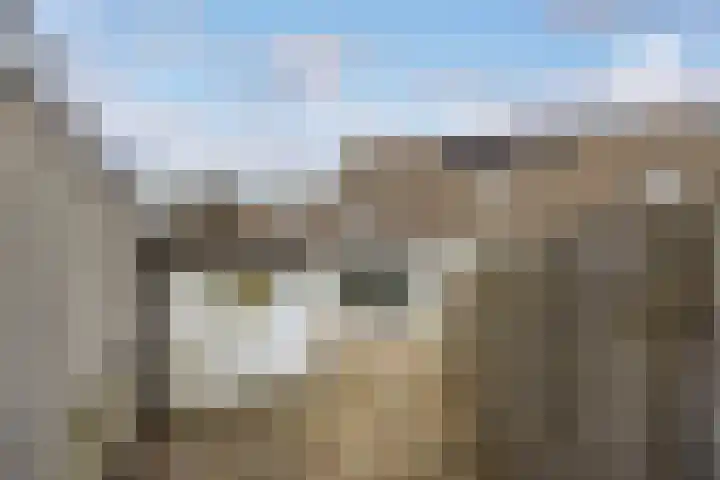 Sandenburg 9 Leusden thumbnail 17