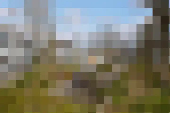 Sandenburg 9 Leusden thumbnail 32