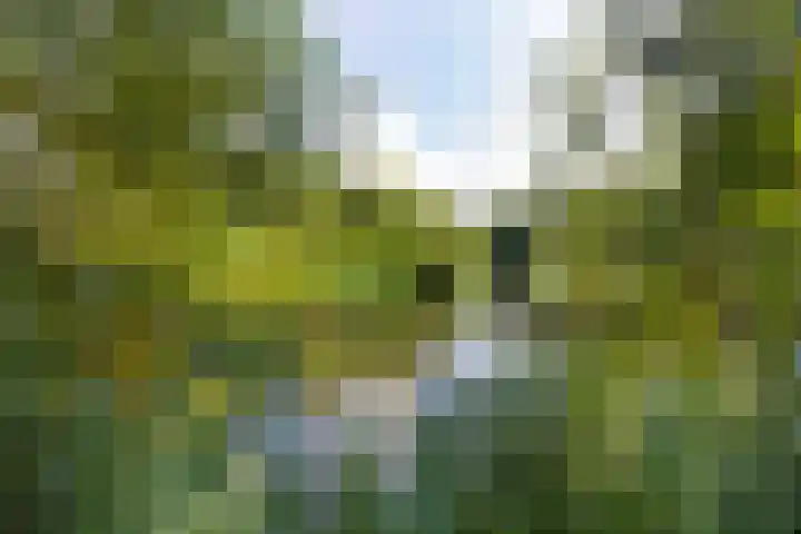 Sandenburg 93 Haarlem thumbnail 22