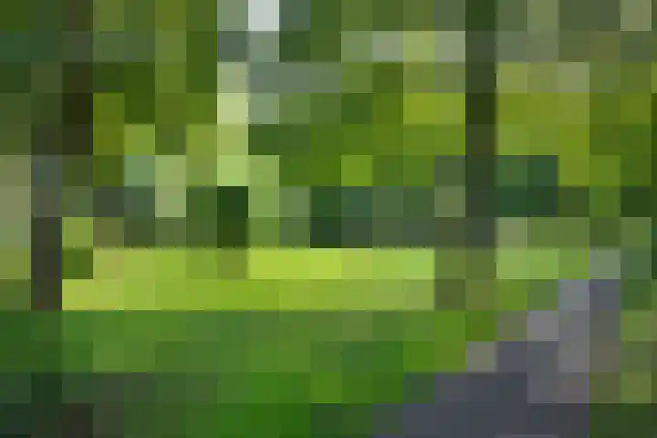 Sandenburg 93 Haarlem thumbnail 24
