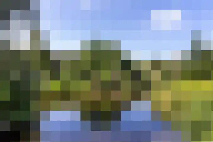 Sandenburg 99 Haarlem thumbnail 23