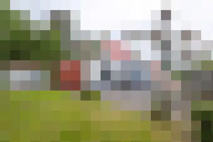 Sandepark 45 Callantsoog thumbnail 29