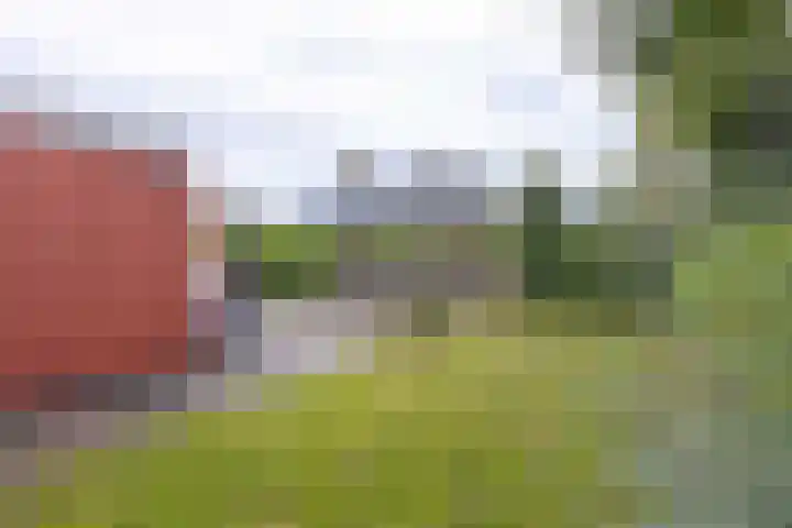 Sandepark 45 Callantsoog thumbnail 34