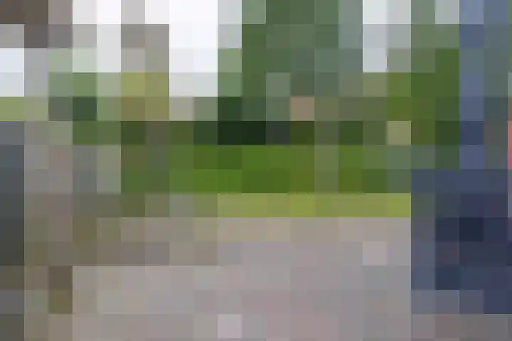 Sandepark 45 Callantsoog thumbnail 35