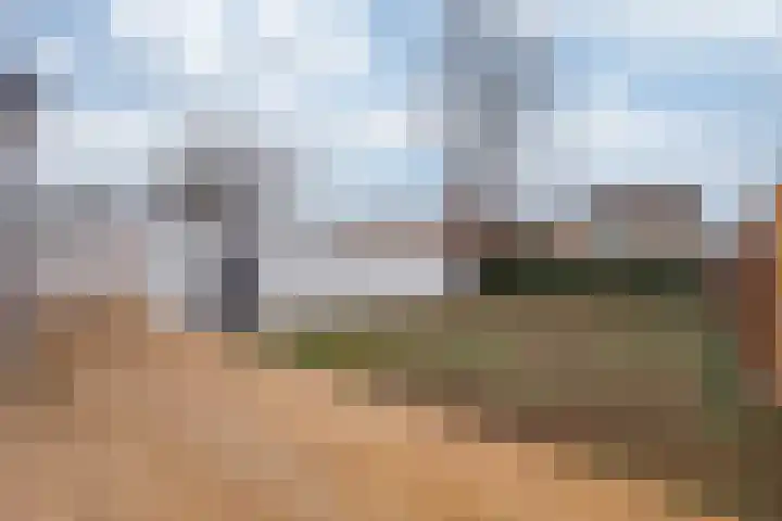 Sanderboutlaan 45 Stein thumbnail 21