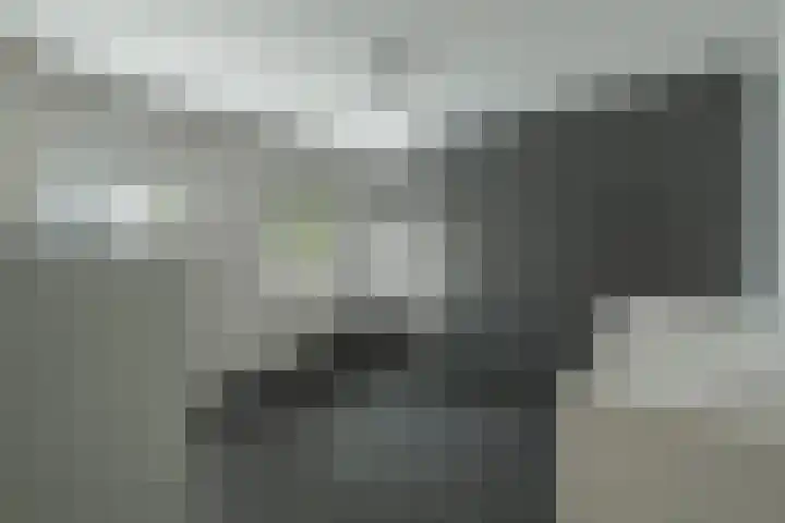 Sanderboutlaan 72 Stein thumbnail 17