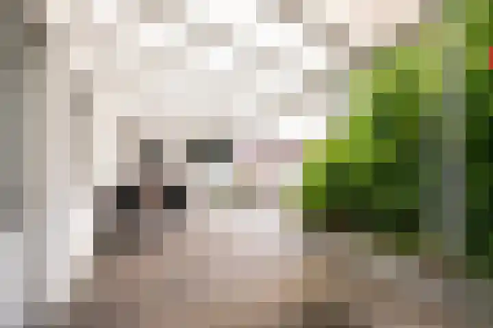 Sanderboutlaan 72 Stein thumbnail 23