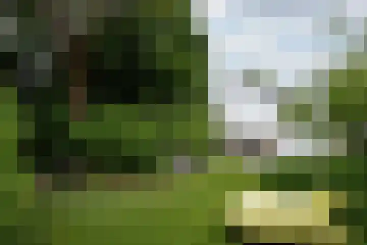 Sanderboutlaan 72 Stein thumbnail 26