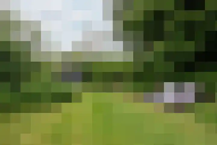 Sanderboutlaan 72 Stein thumbnail 27