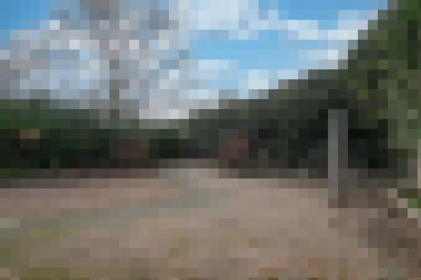 Sanderboutlaan 8 Elsloo thumbnail 20
