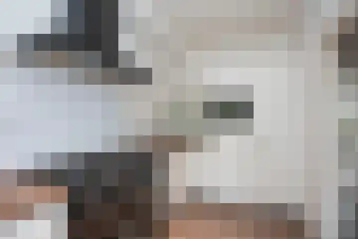 Sanderij 15 Delden thumbnail 10