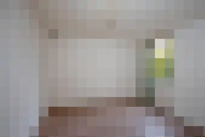 Sanderij 15 Delden thumbnail 12