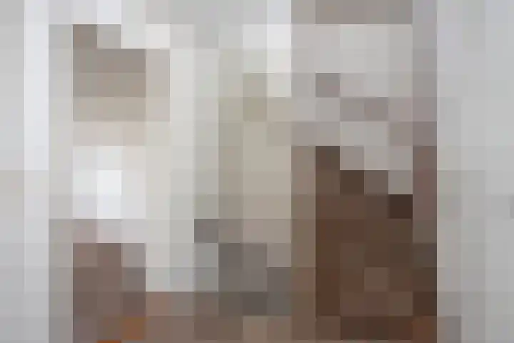 Sanderij 15 Delden thumbnail 13
