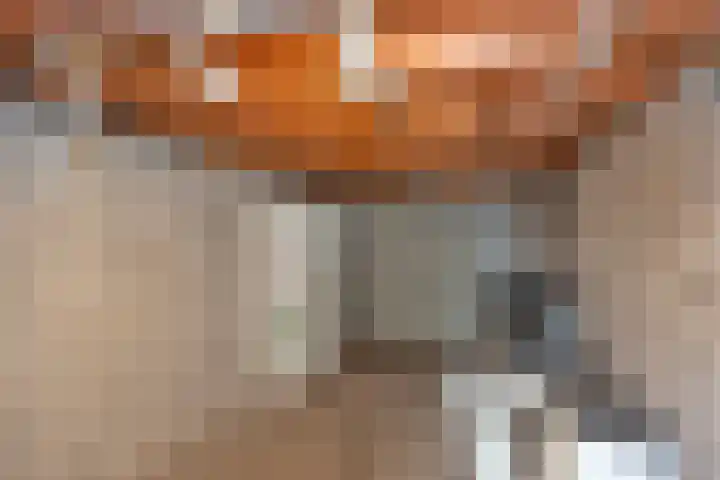 Sanderij 15 Delden thumbnail 30